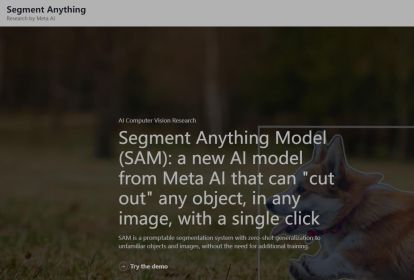 Segment Anything Model