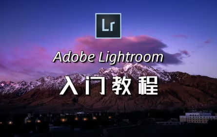 【LR教程】Lightroom入门教学，从零到后期大师！！