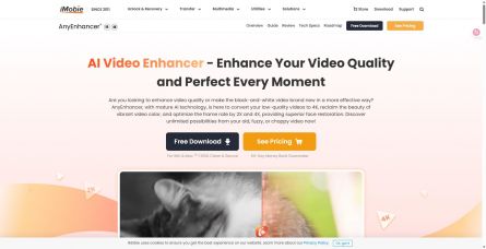 AnyEnhancer AnyEnhancer